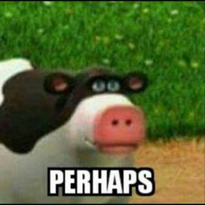 Meet your Posher, Matt